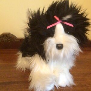 Douglas Shih tzu Dog with Pink Bow